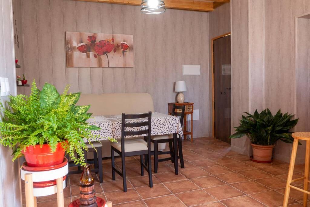 Casa 8 Canos Apartamento *